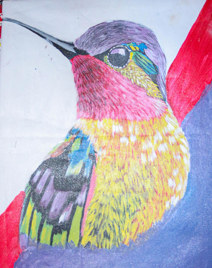 humming bird